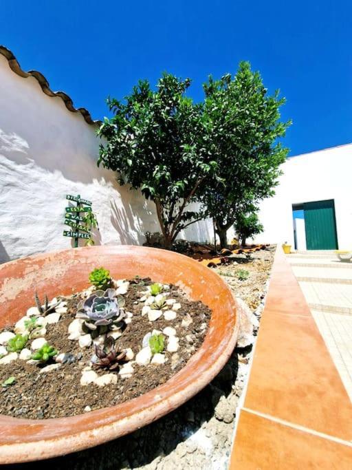Casa Da Enxota Villa Povoa de Sao Miguel Luaran gambar